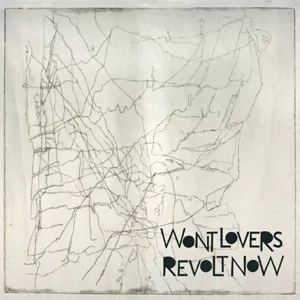 Won't Lovers Revolt Now - Won't Lovers Revolt Now