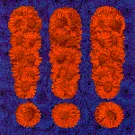 !!! vender tilbage til Vega