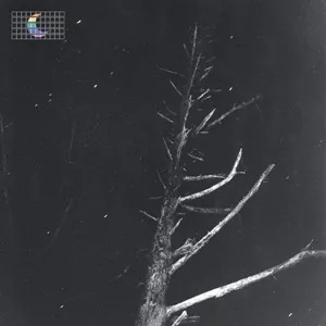 Colours Of The Night - Peter Broderick