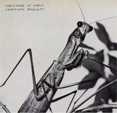 Creature of Habit - Courtney Barnett