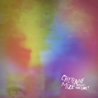 Among the Grey - Cheyenne Mize