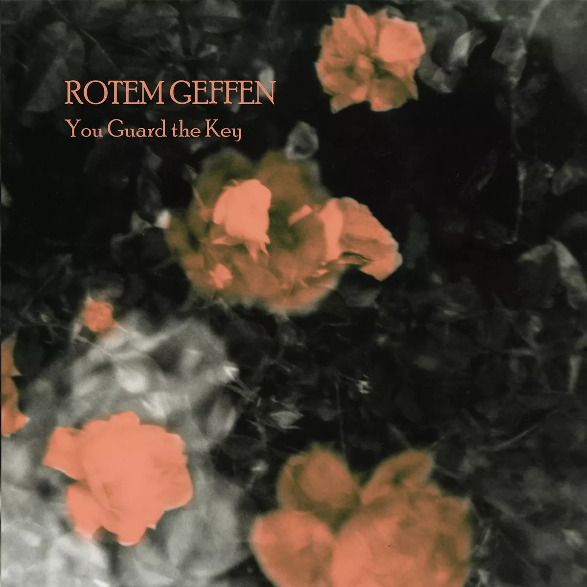 You Guard The Key - Rotem Geffen