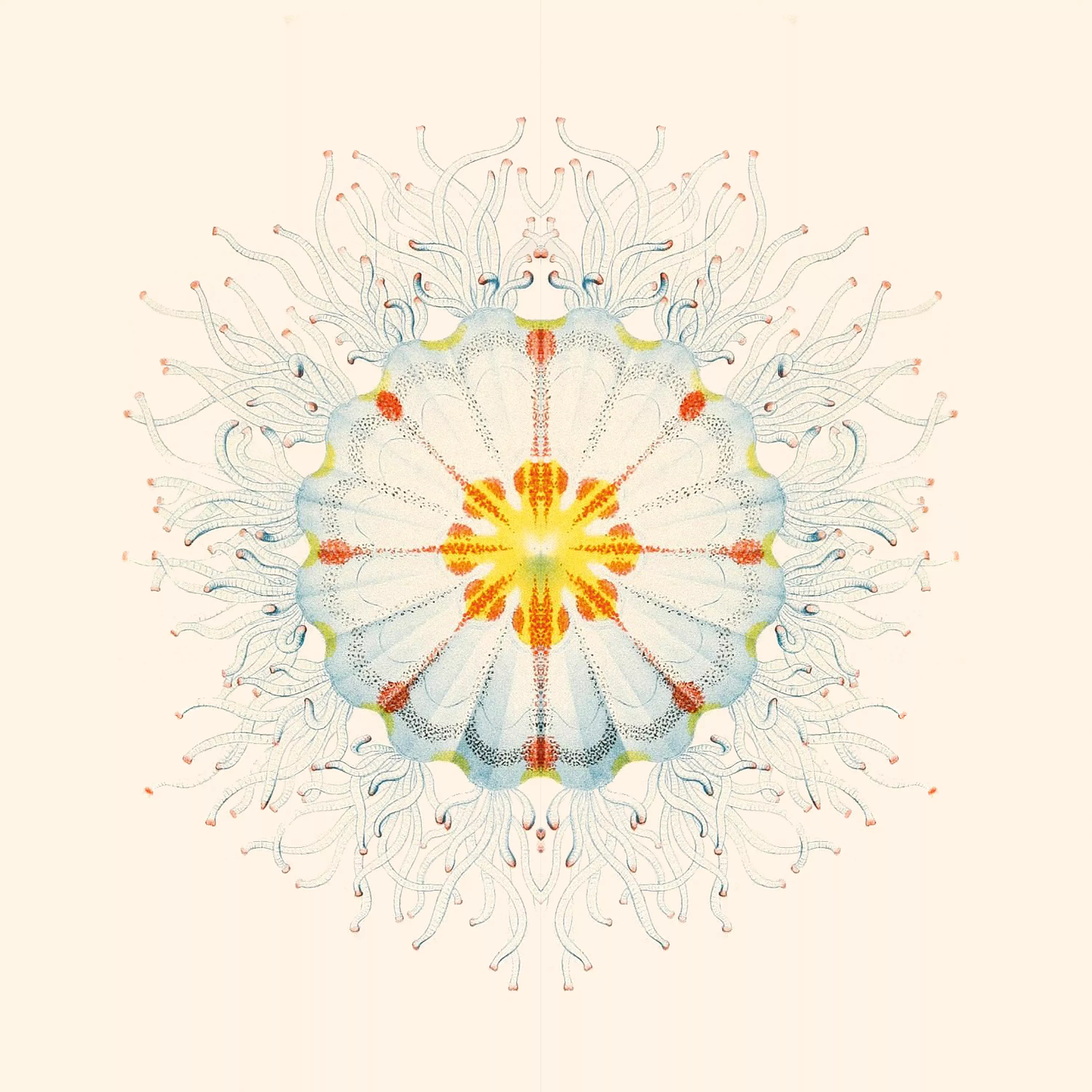 De små tingens ljud