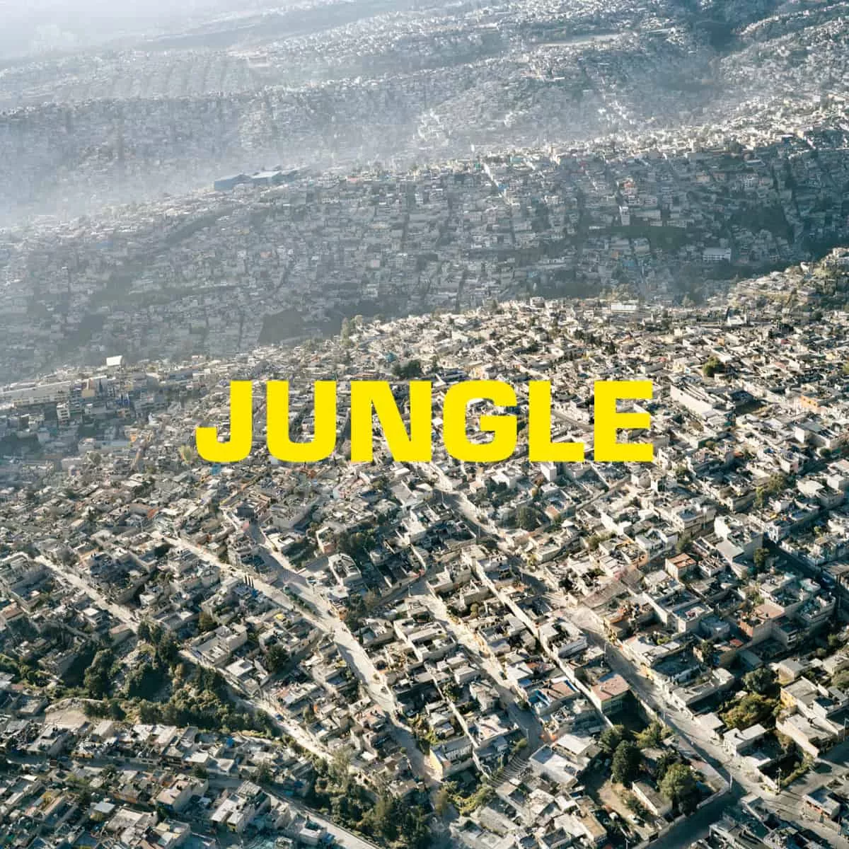 Jungle - The Blaze