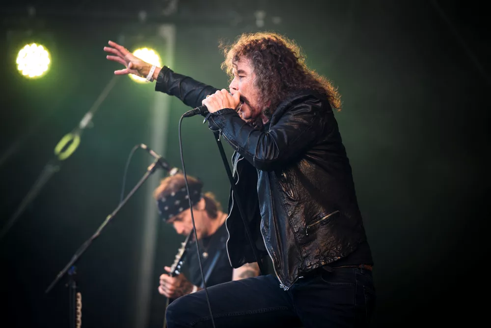 Thrash uden svinkeærinder 