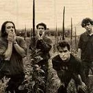 The Afghan Whigs genforenet