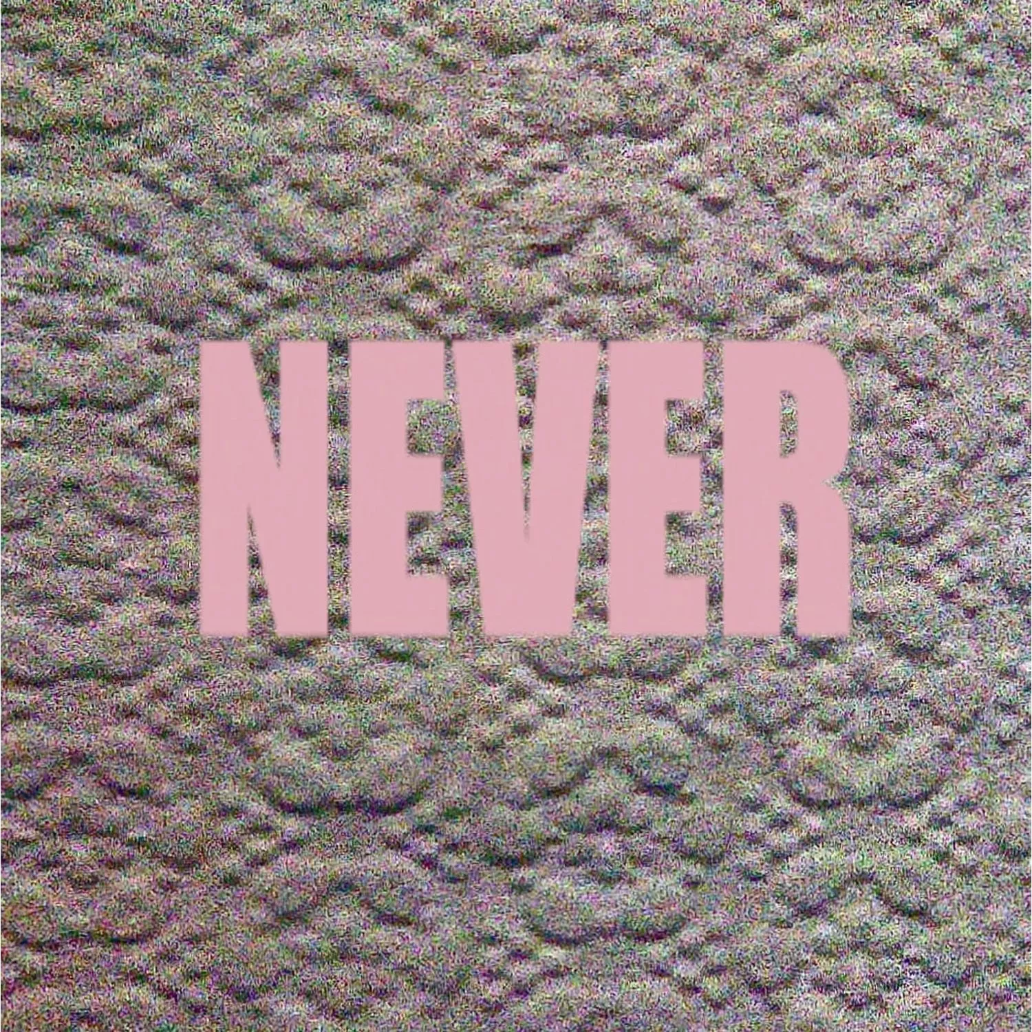 Never - Micachu & The Shapes
