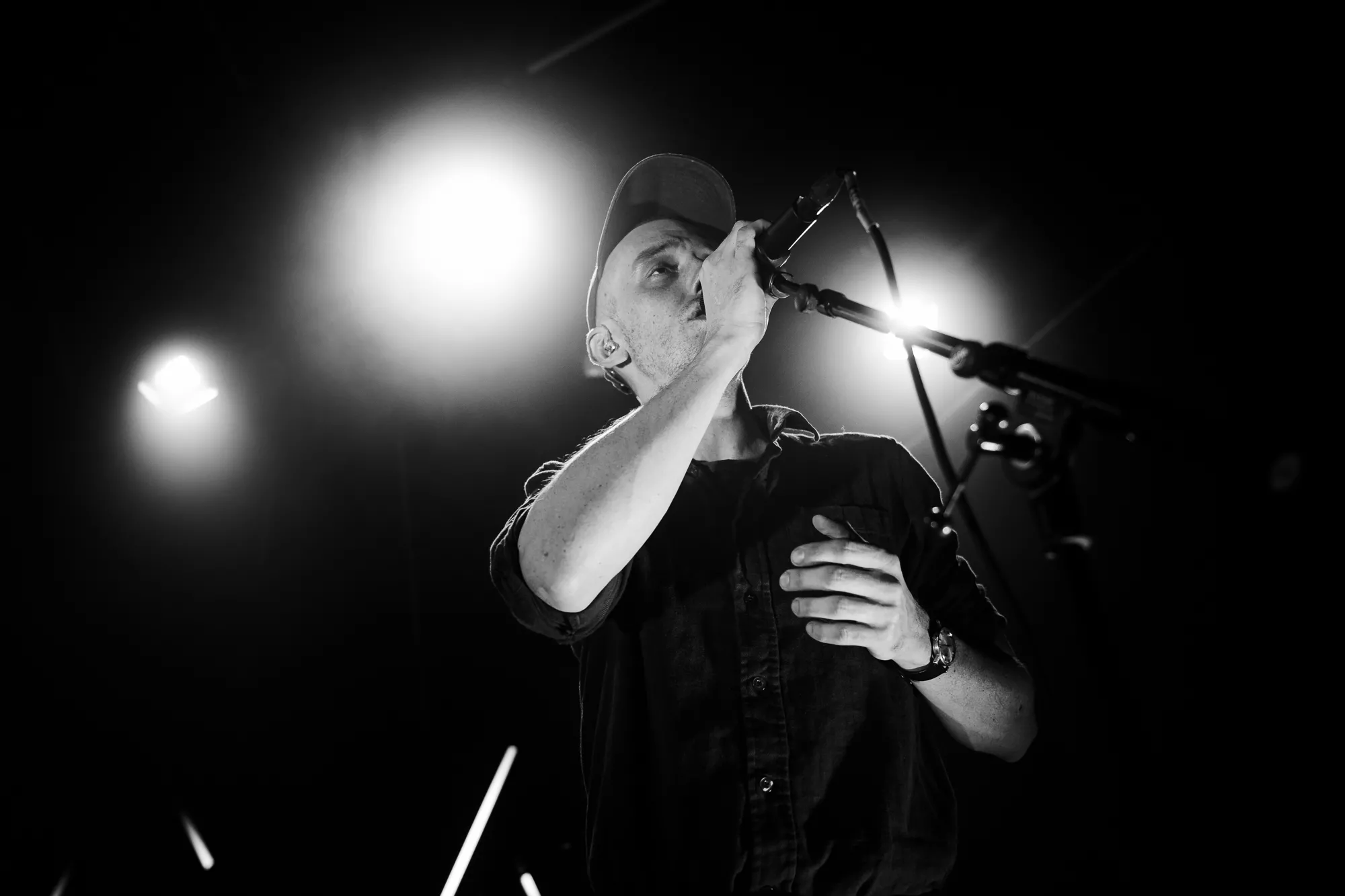 De blå blomsters vej op gennem den sorte muld