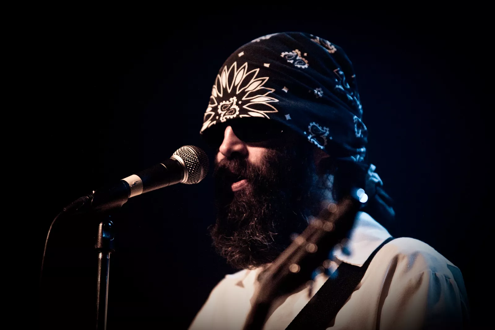 Eels hævner sig i ny video