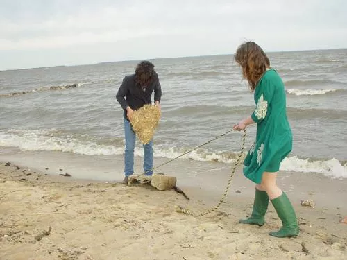 Beach House udsender treer