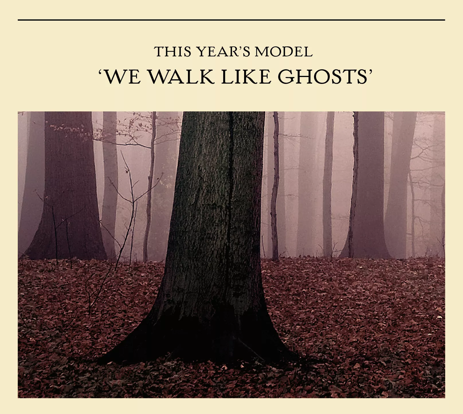 We Walk Like Ghosts - This Year's Model