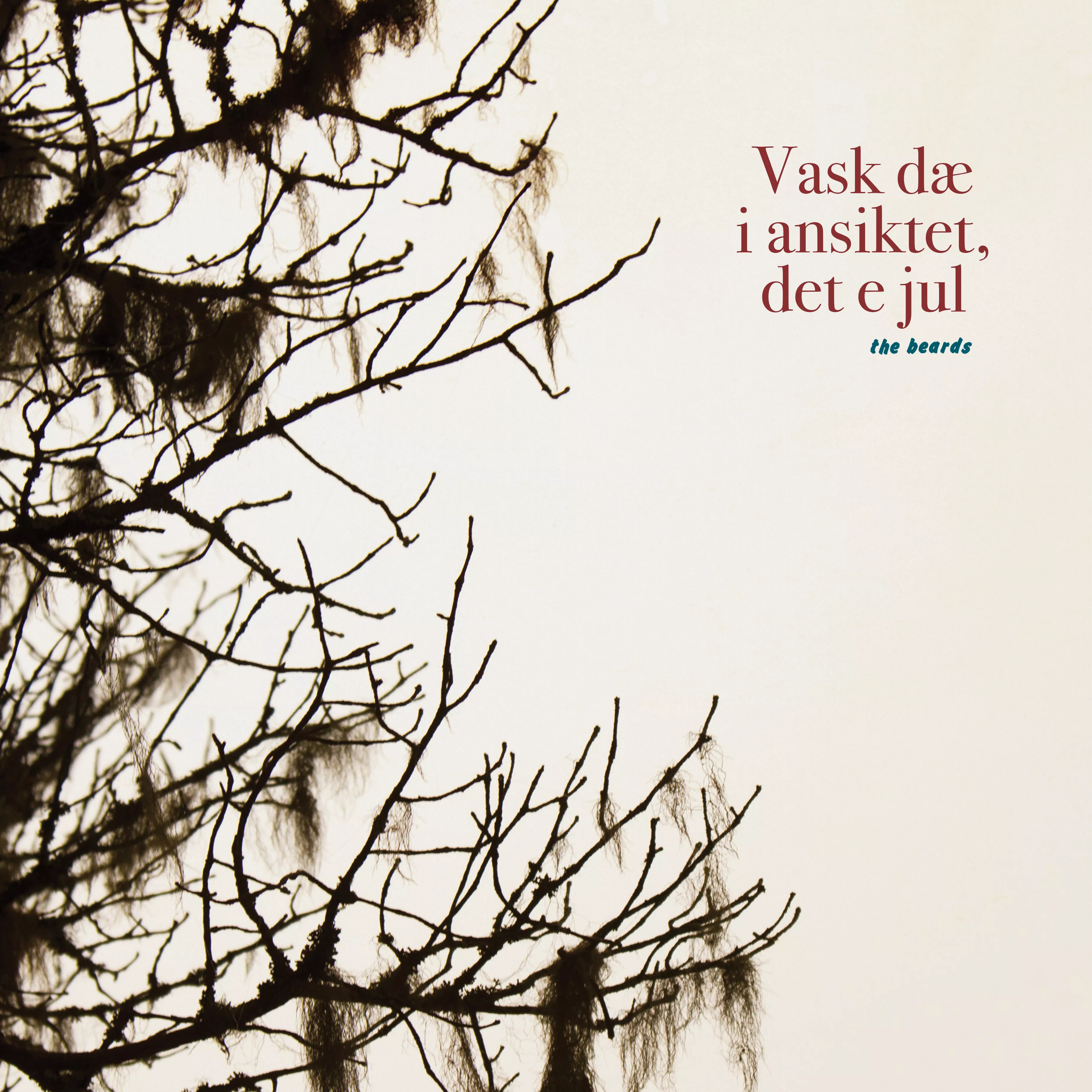 Vask Dæ I Ansiktet, Det E Jul  - The Beards