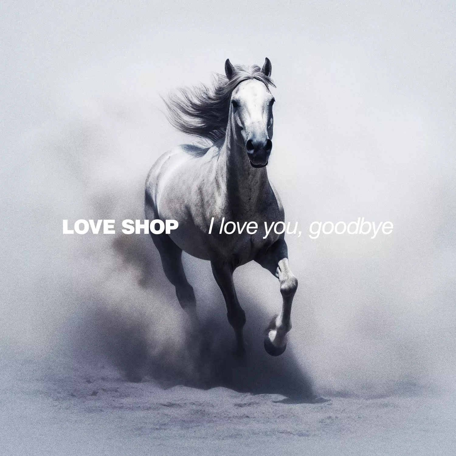I Love You, Goodbye - Love Shop
