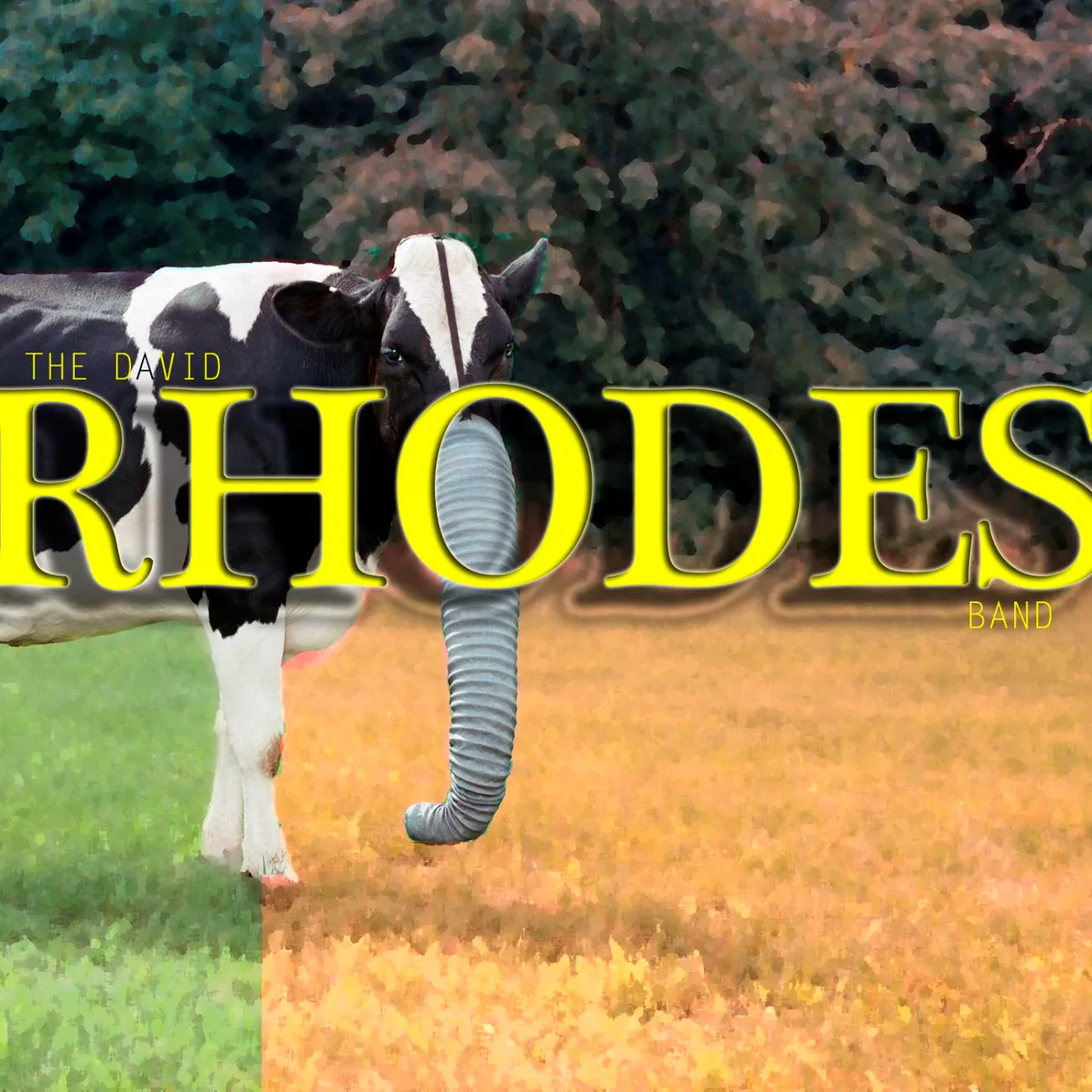 The David Rhodes Band - The David Rhodes Band