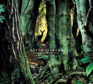 Manafon - David Sylvian