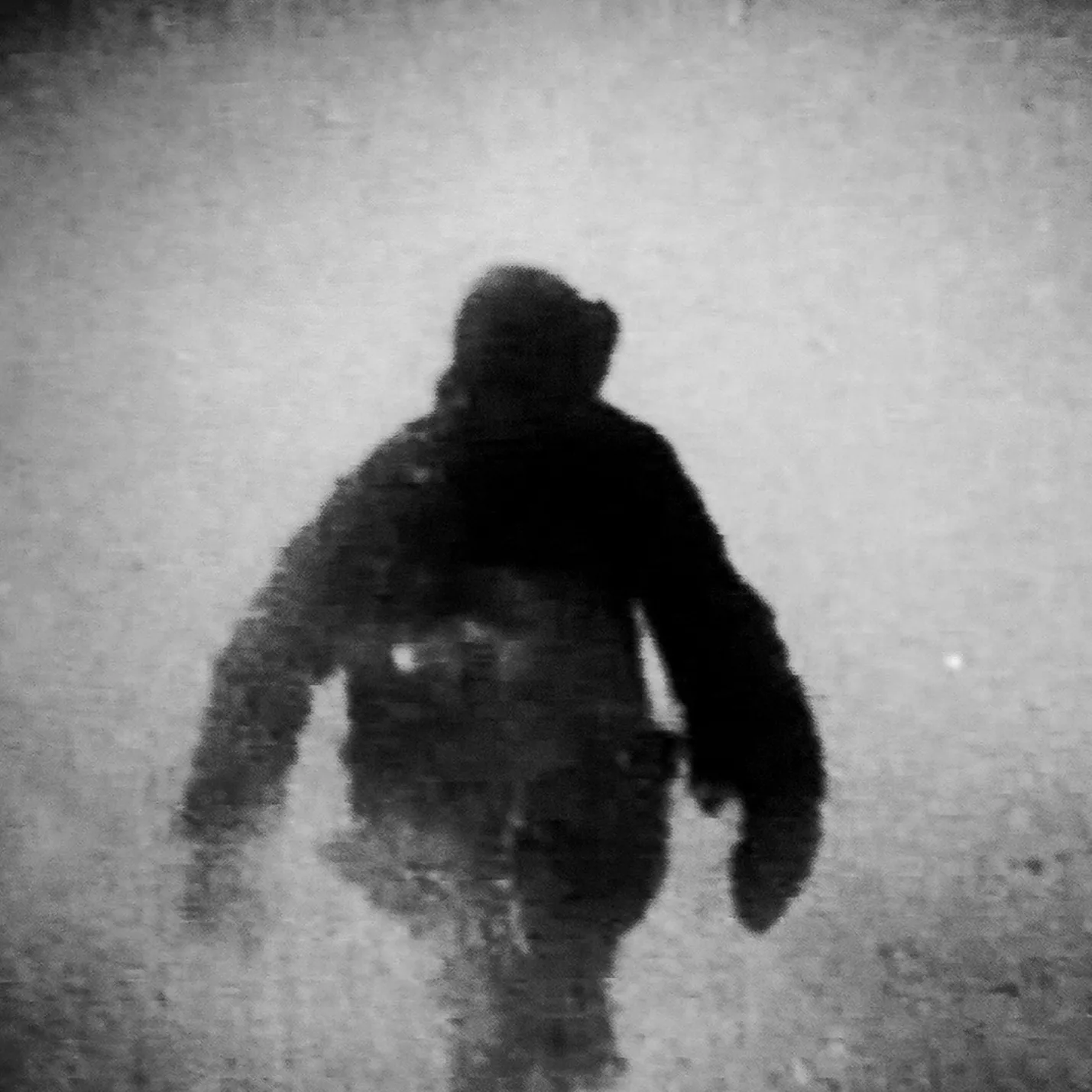 MPJule3-kalender – Polarforsker