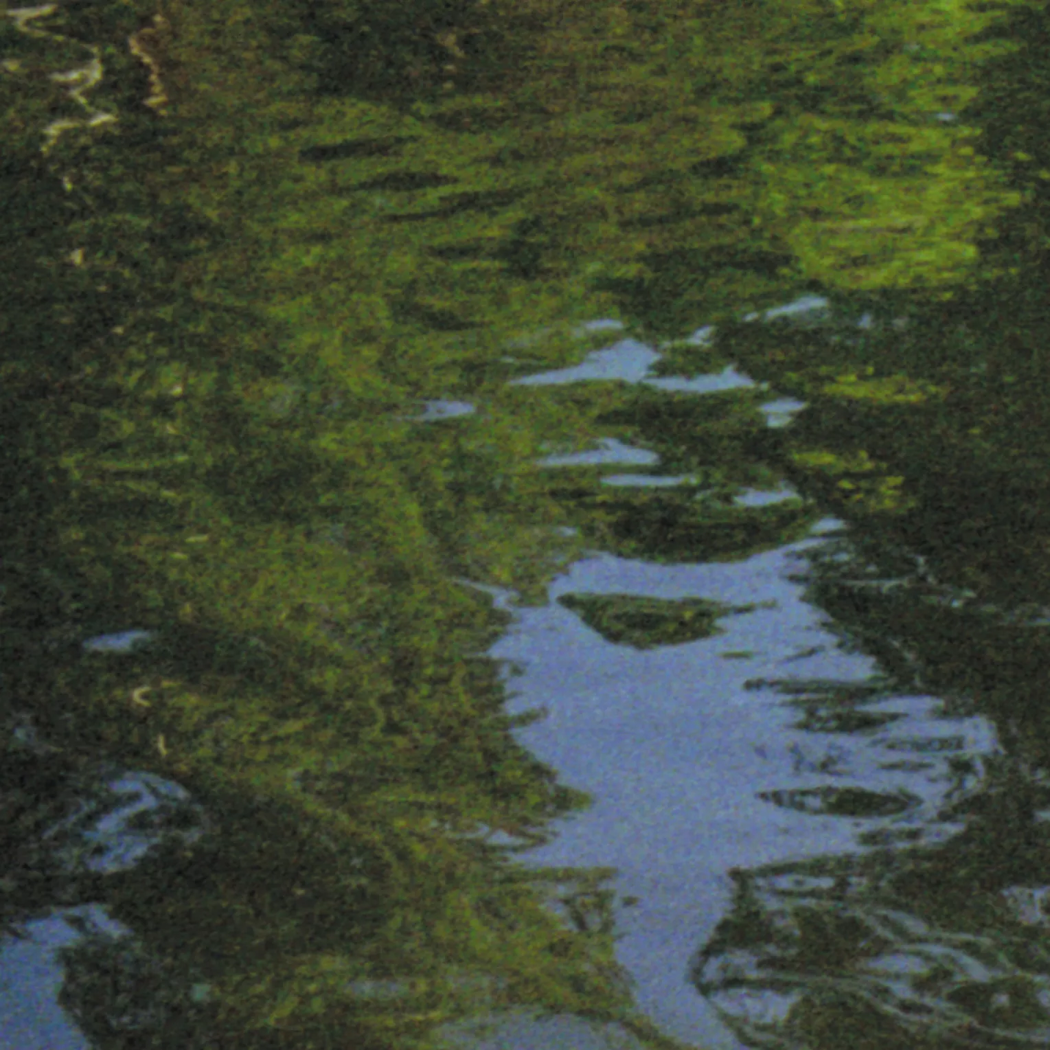 Tidvatten - Ingrid Malmén