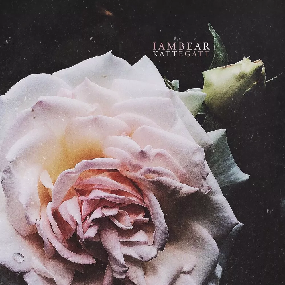 Kattegatt, Vol.5 - Iambear