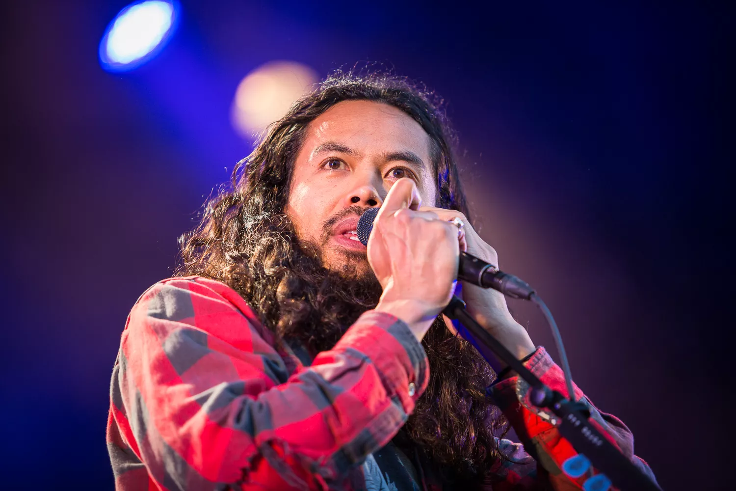 The Temper Trap: – Det danske publikum involverer sig virkelig i musikken 