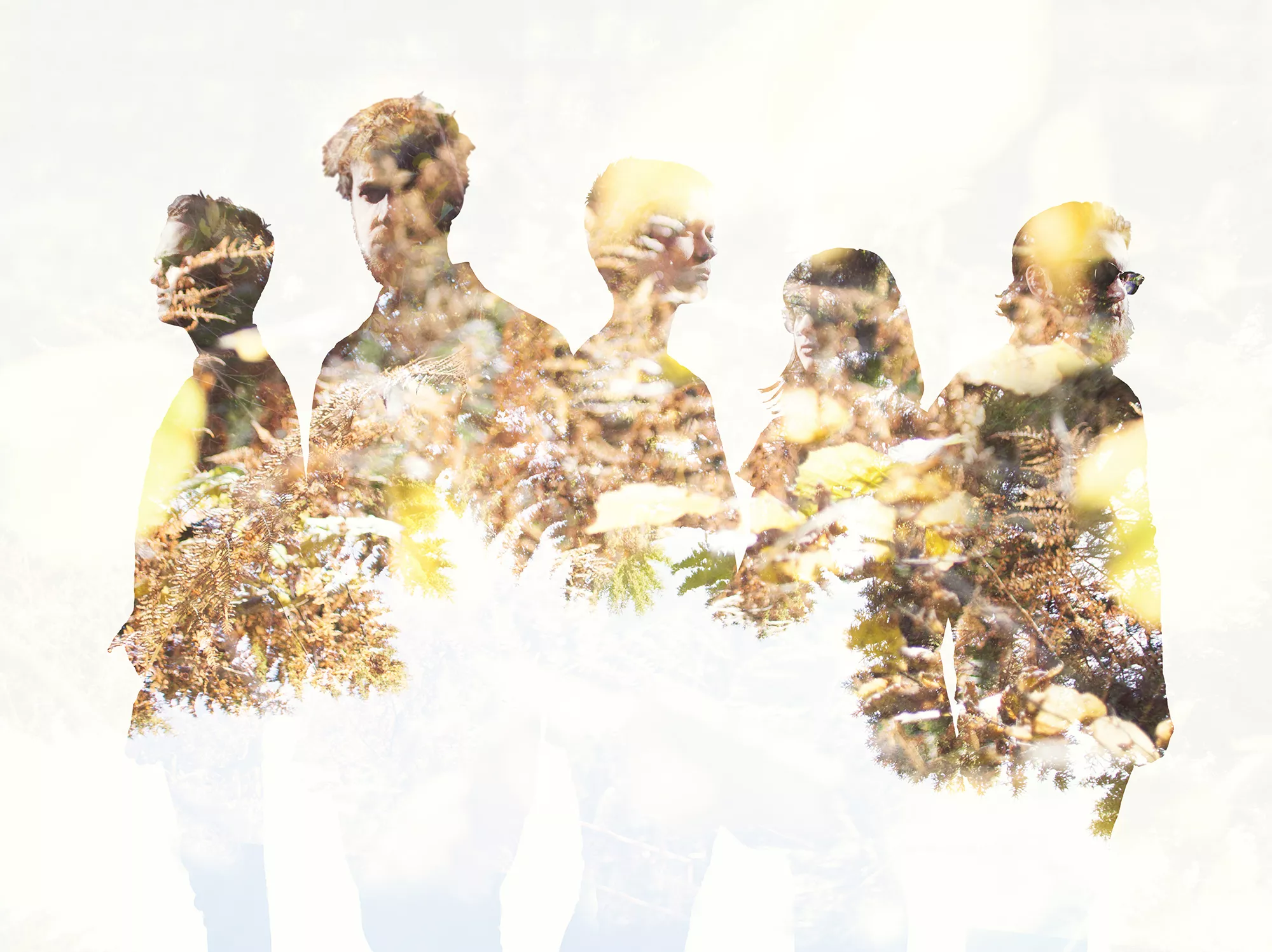 Videopremiere: Einar Stray Orchestra - Politricks