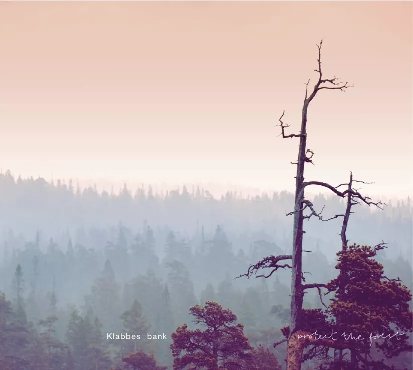 Protect The Forest - Klabbes Bank