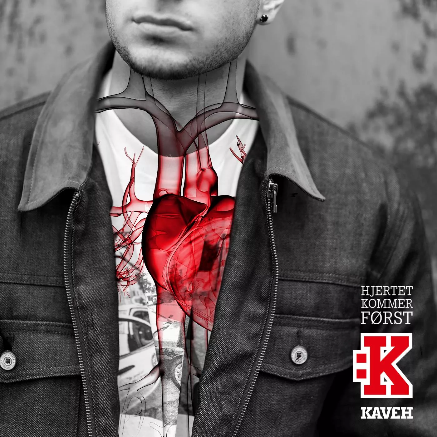 Hjertet Kommer Først - Kaveh