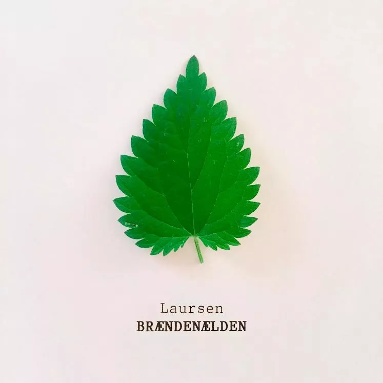 Brændenælden - Laursen