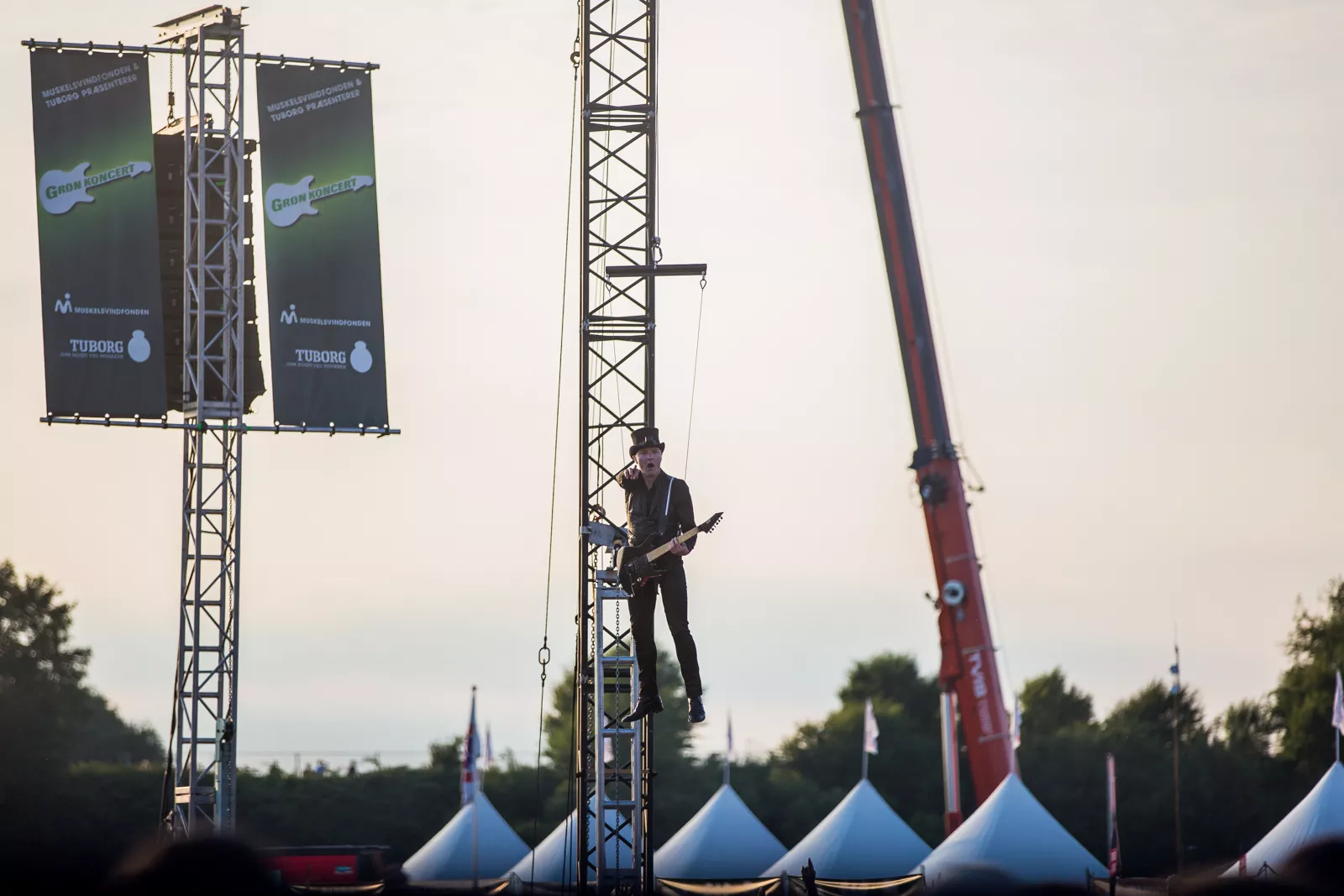 Den gamle hårde treer 