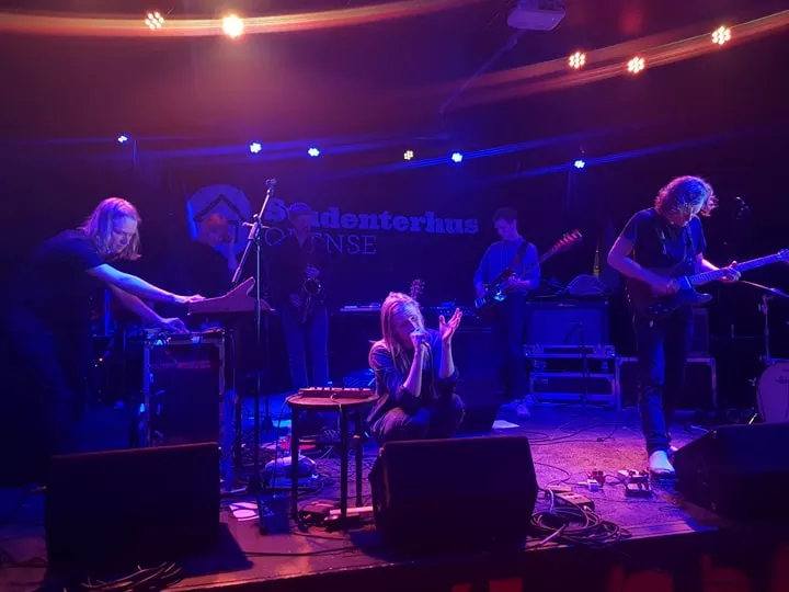 REM-søvnens legesygdom