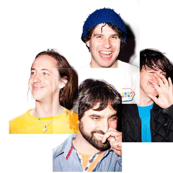 Animal Collective till Sverige