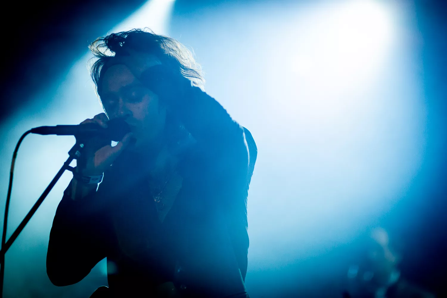 Seksstjernede The Love Coffin klar med ny video og turné