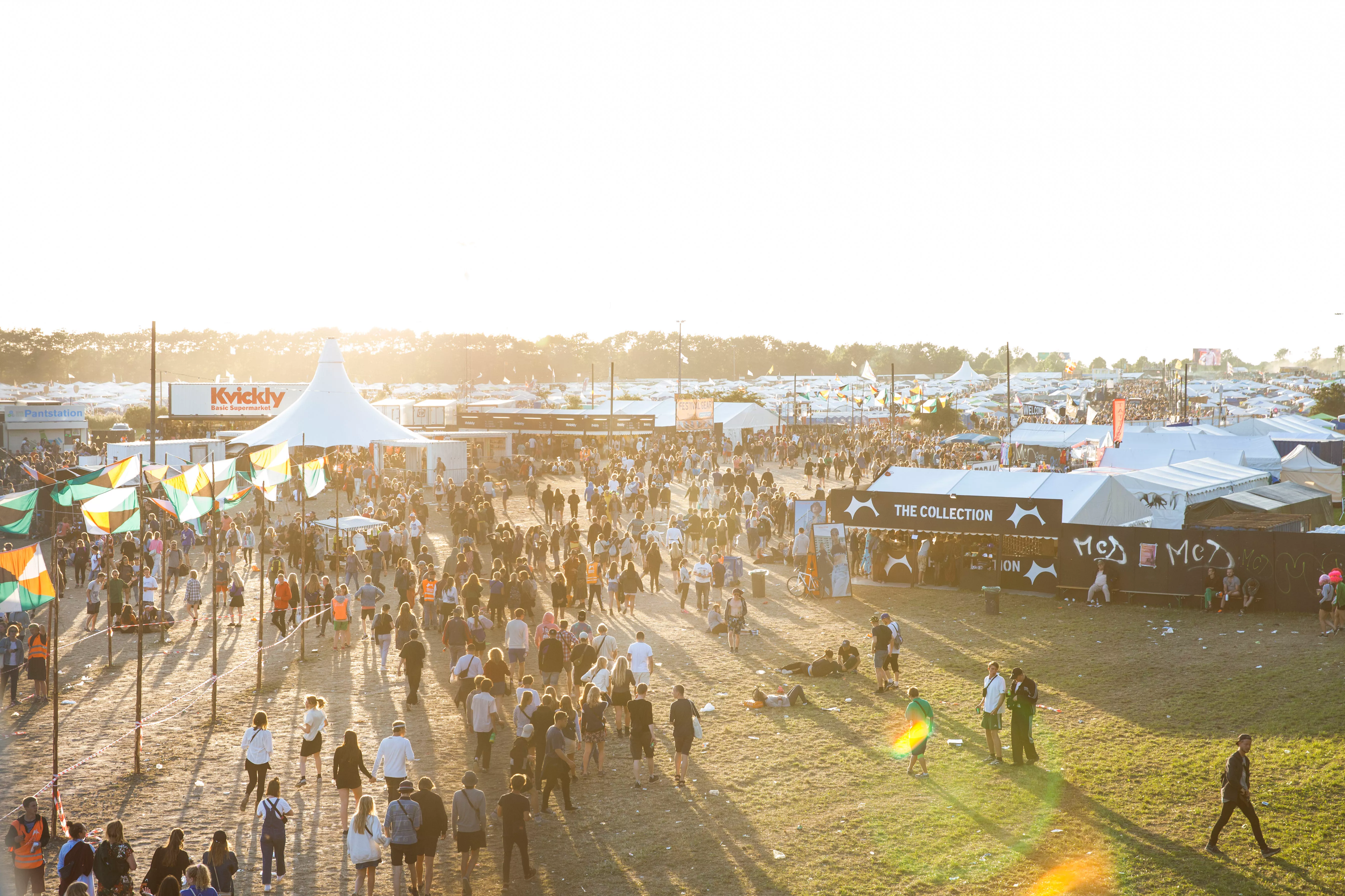 Dansk bryggeri lanserer pilsner med motbydelig Roskilde-ingrediens