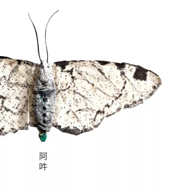 AUN - The Beginning And The End Of All Things - Fennesz