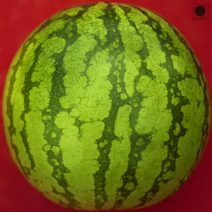 A Collection Of Vibrations For Your Skull - Treefight For Sunlight