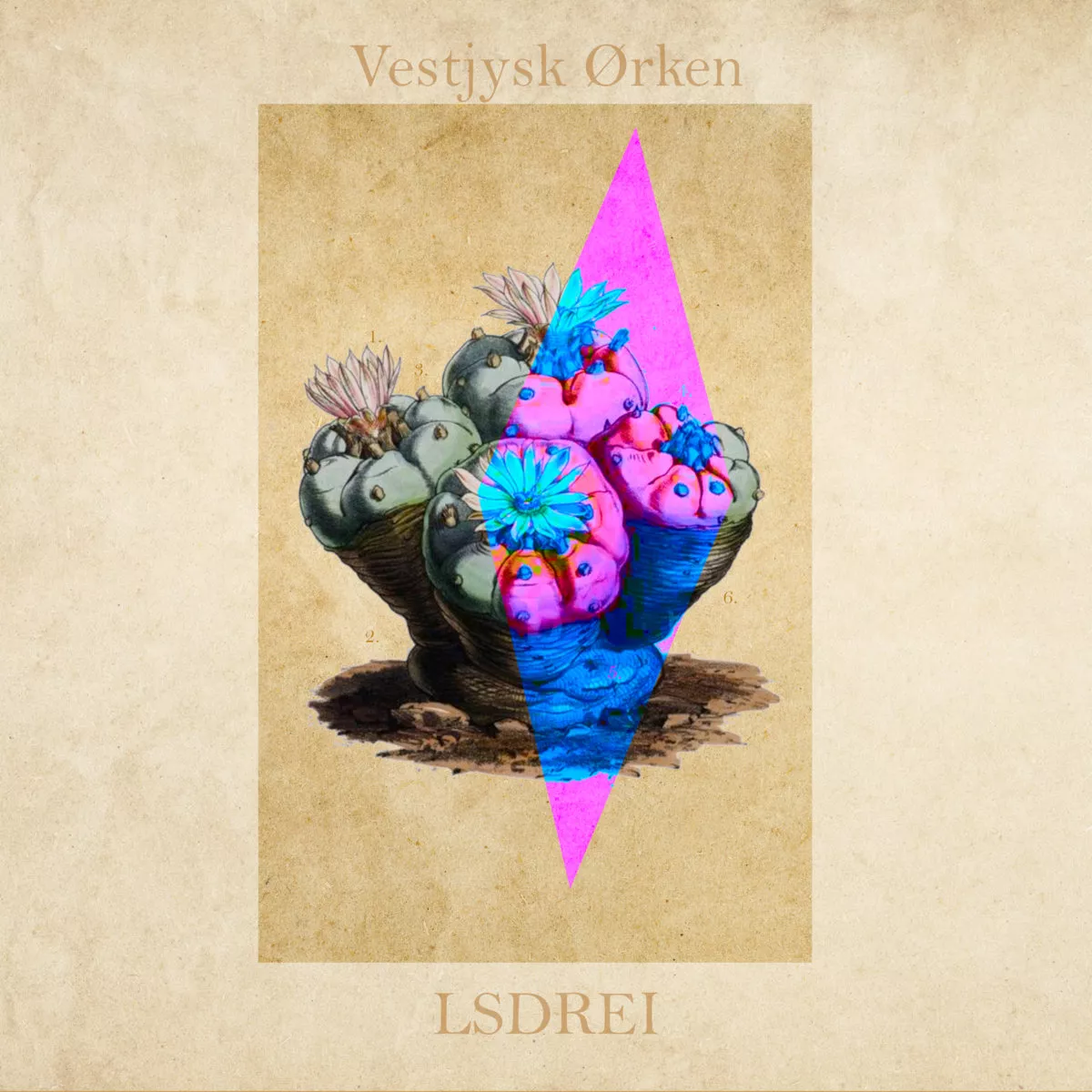 LSDREI - Vestjysk Ørken