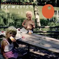 Paradisets børn - Blomqvist