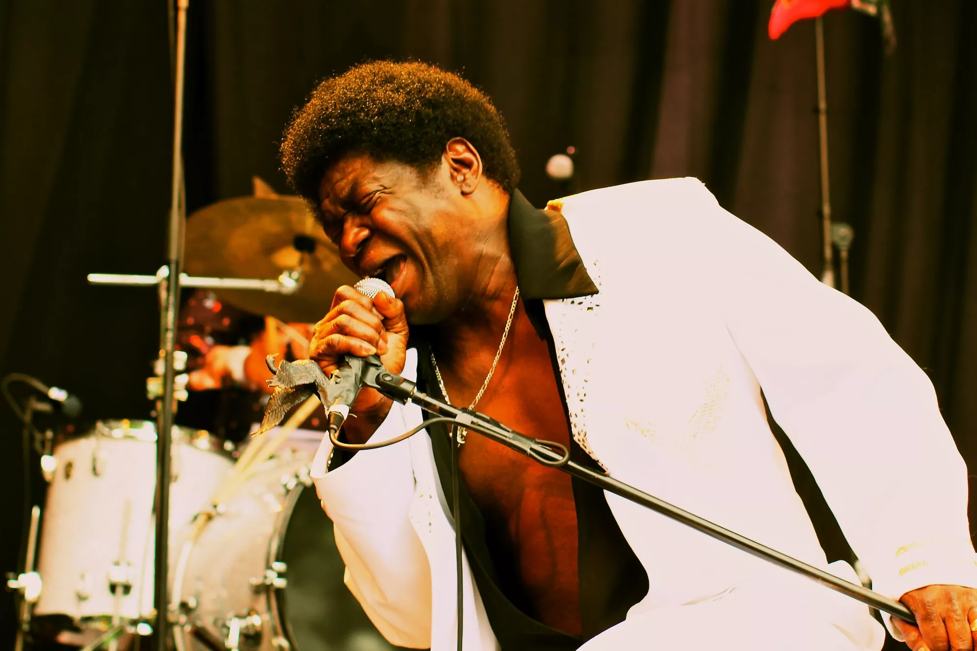 Charles Bradley er tilbage