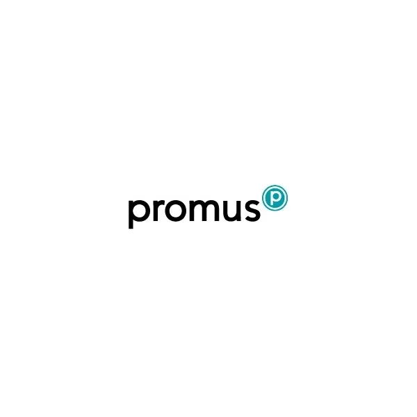 Promus starter mentor-ordning for vækstlaget i Århus