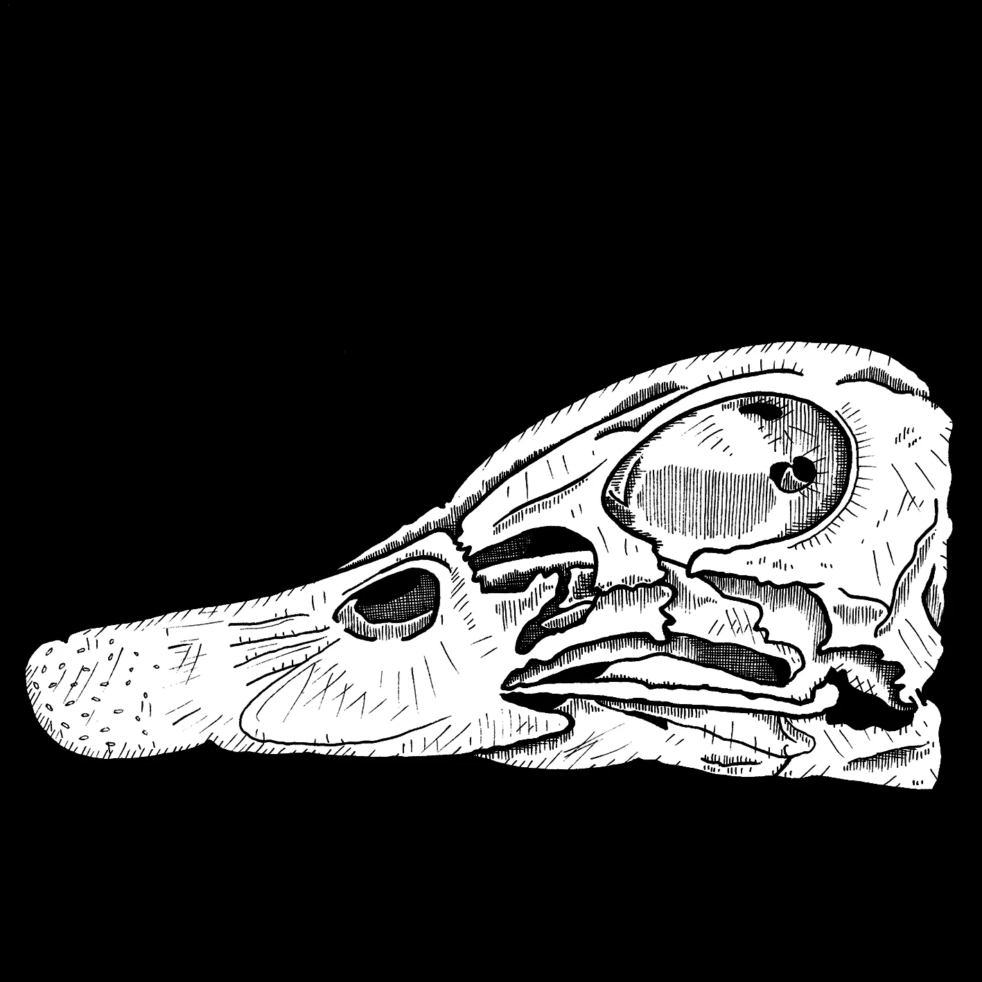 #DuckRock - A Tribute To Past, Present And Future Duck Artists - StarratS Of UfotofU
