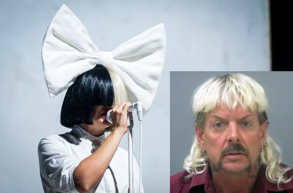 Sia offentliggør sang om Tiger King