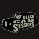 Brian Wilson giver taxi-koncert