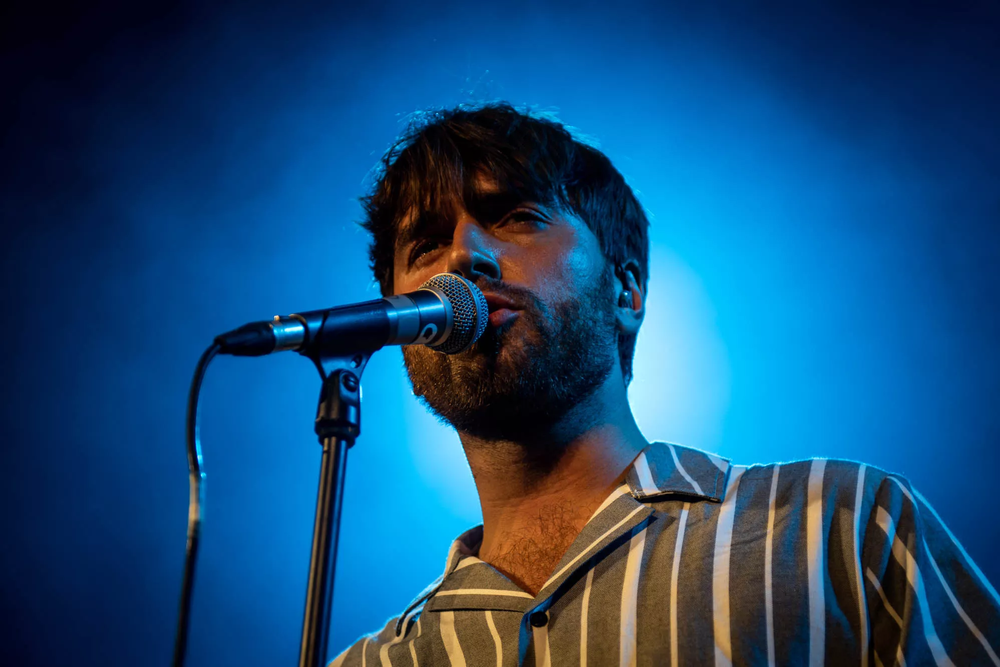 Ud af den gyldne aske trådte en popartist med internationalt potentiale