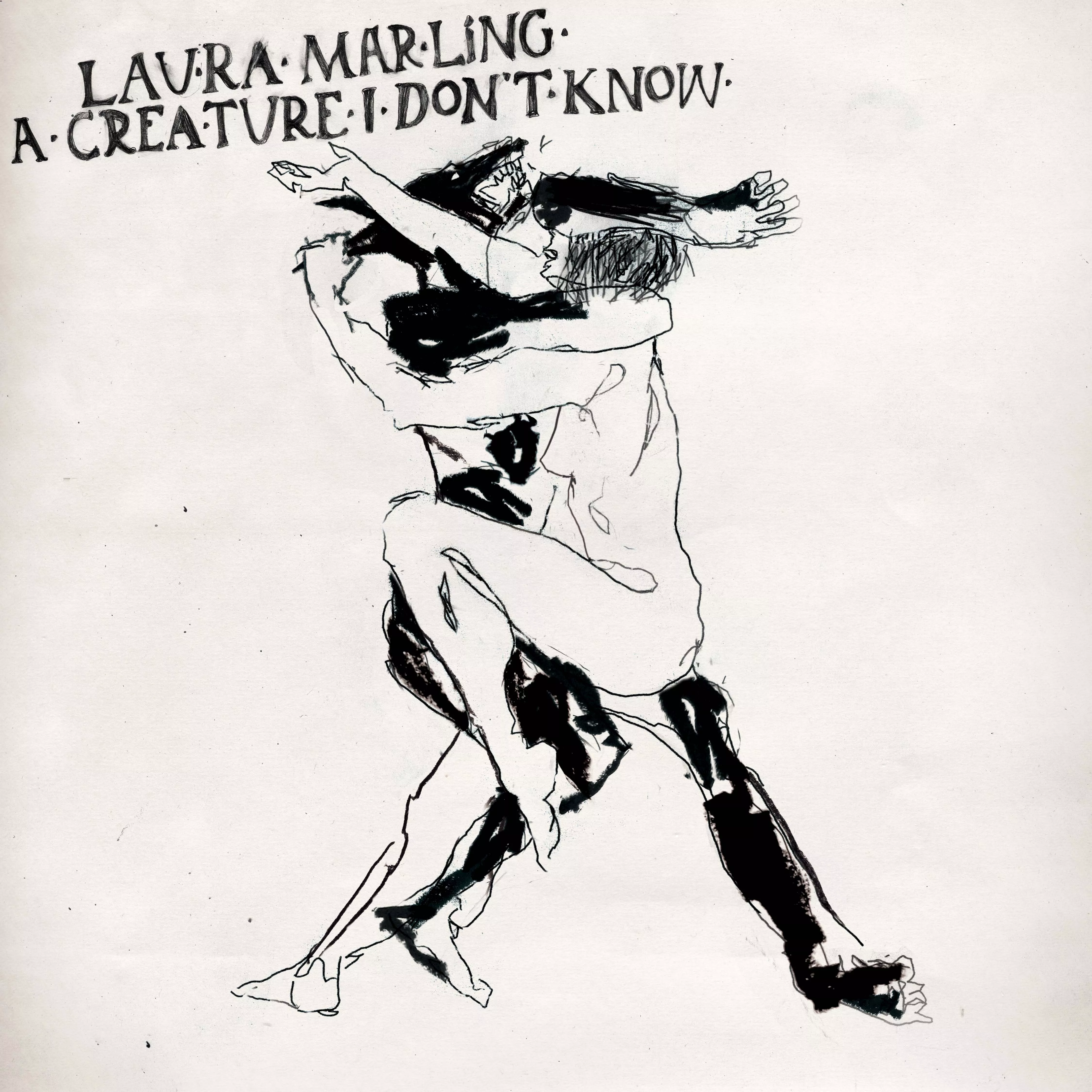 A Creature I Don't Know - Laura Marling