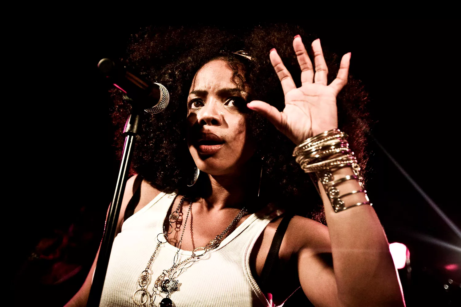 Leela James: Lille Vega, København