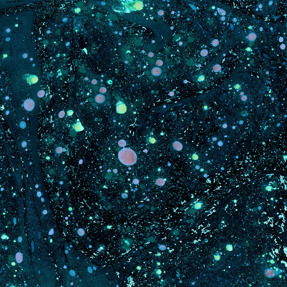 Unknown Ends - Dream Curtain
