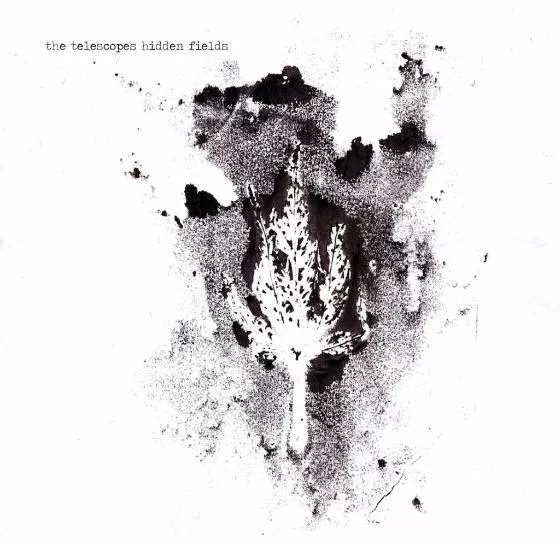Hidden Fields - The Telescopes