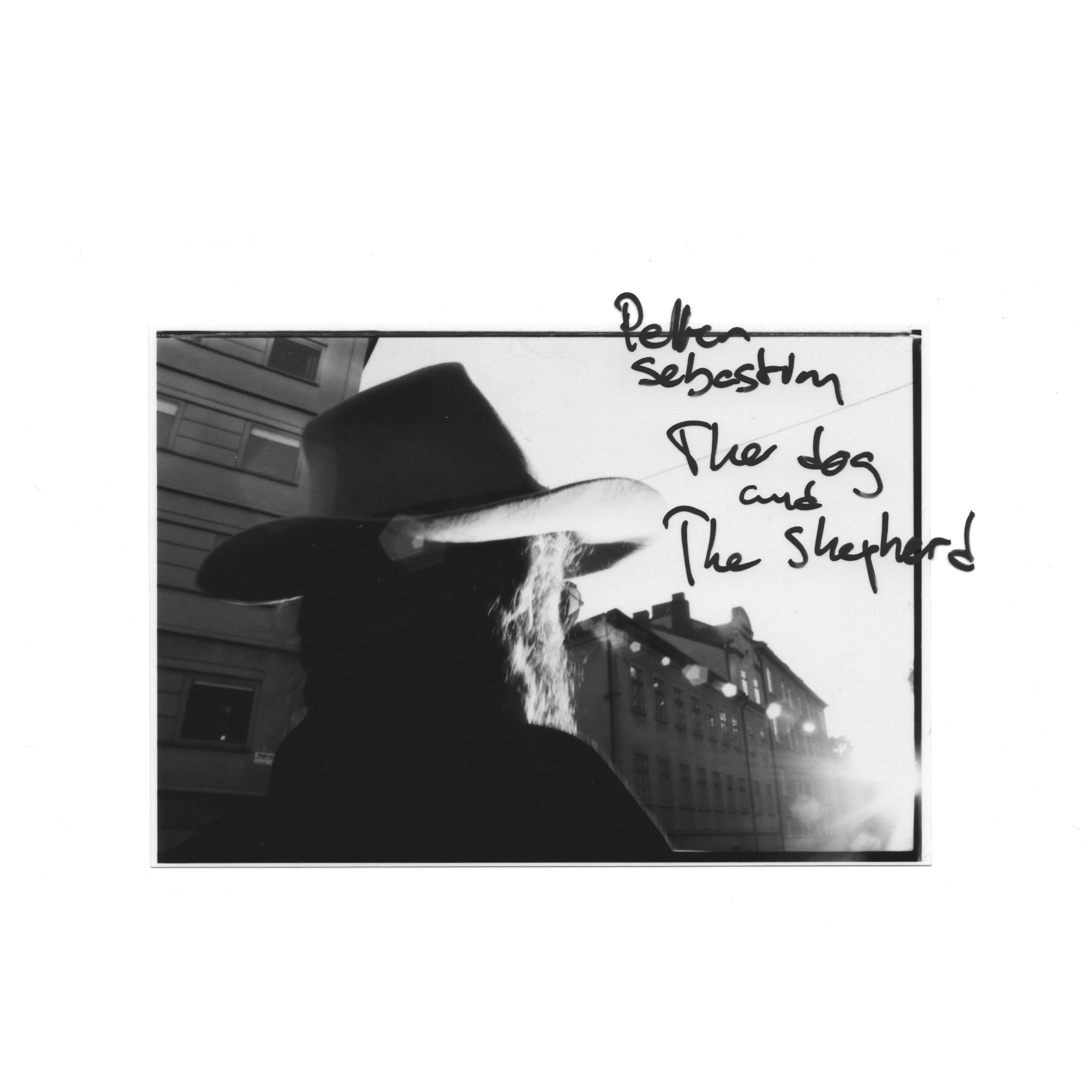 Lågmäld och melankolisk juvel från Amason-medlem