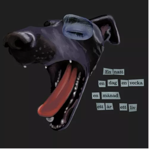 I Göteborg heter alla Glenn men låter som Håkan