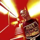 Slow Train optaget på kommende Hôtel Costes-cd