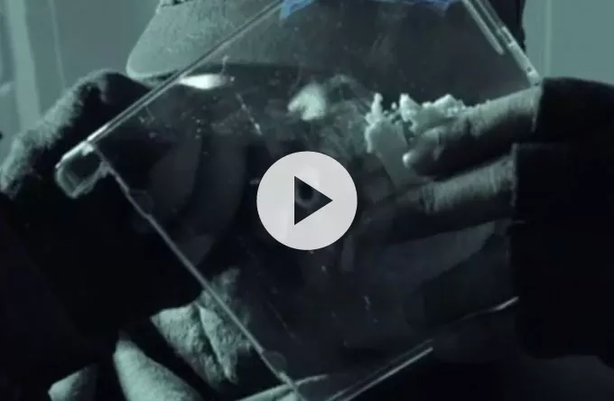 Rap/r&b-talentet Jamaika er klar med barsk video